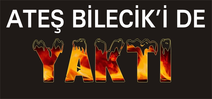 ATEŞ BİLECİK’İ DE YAKTI