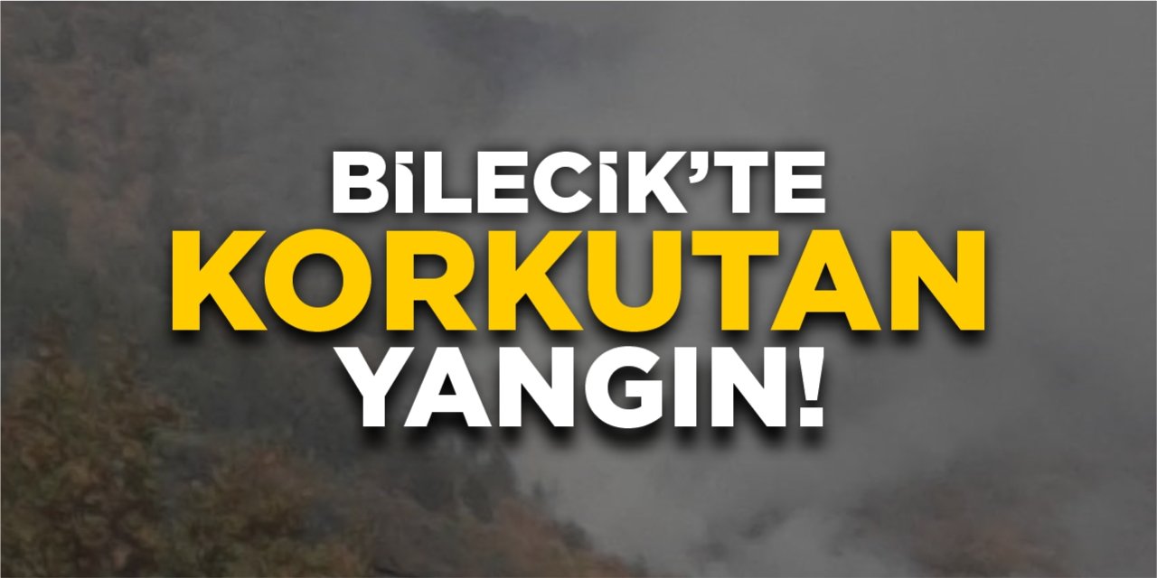 Bilecik'te korkutan yangın