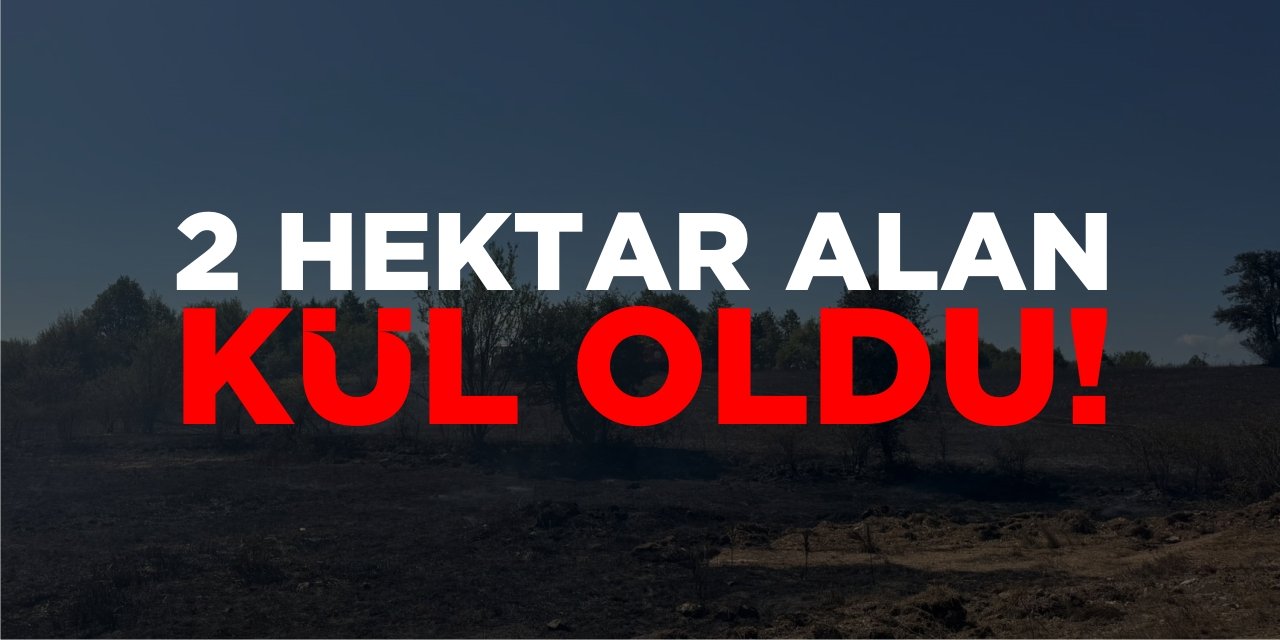 2 Hektar Alan Kül Oldu