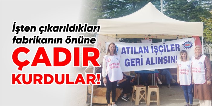İşten çıkarıldıkları fabrikanın önüne çadır kurdular!