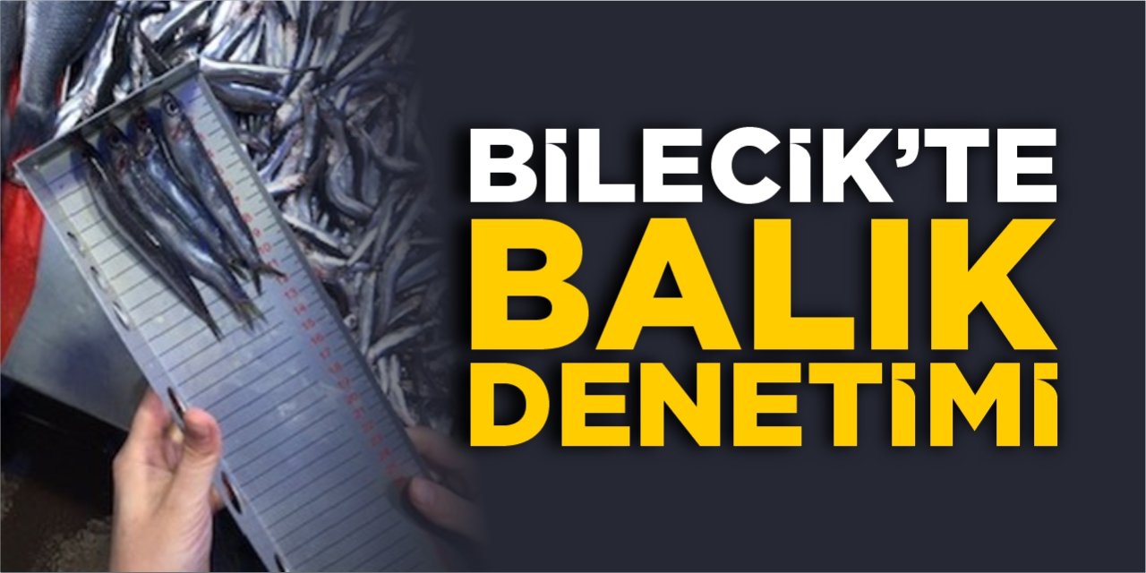 Bilecik'te balık denetimi