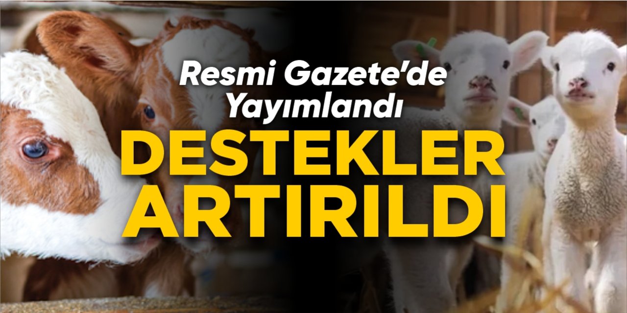 Destekler artırıldı!