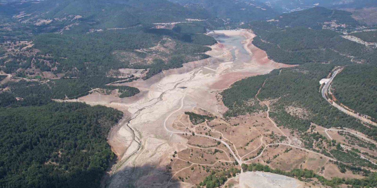 Su Kesintisi Dedikodusu, Su Tüketimini Patlattı