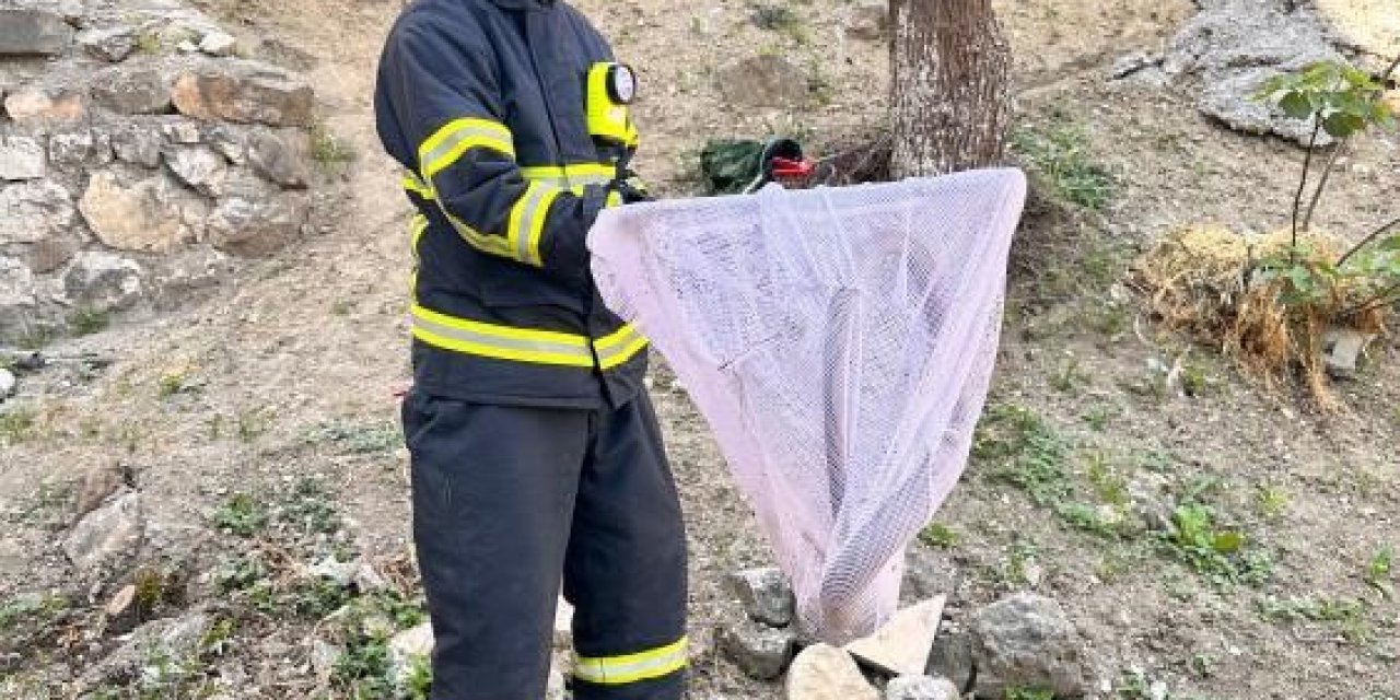 Caddede Yakalanan ’Oluklu Kertenkele’ Doğaya Salındı