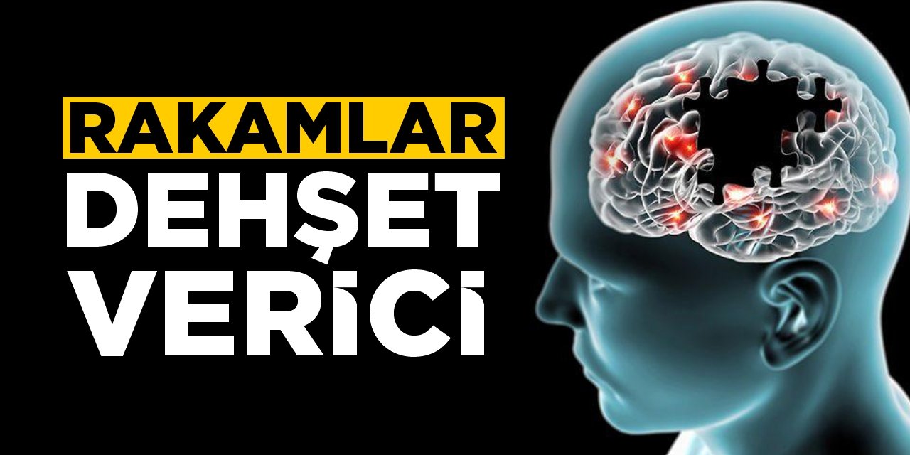 Rakamlar dehşet verici!