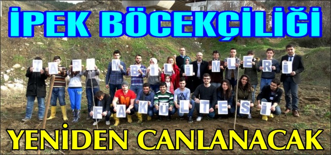 İPEKBÖCEKÇİLİĞİ YENİDEN CANLANACAK