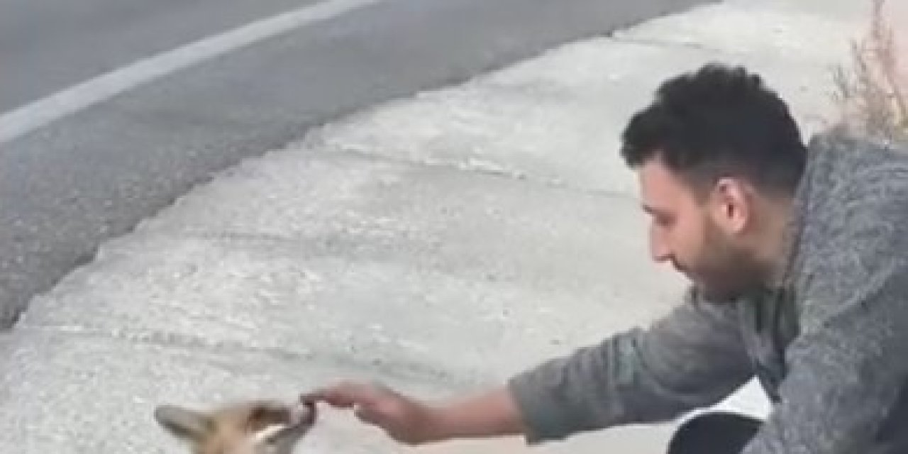 Uludağ Yolunda Sıra Dışı Karşılaşma