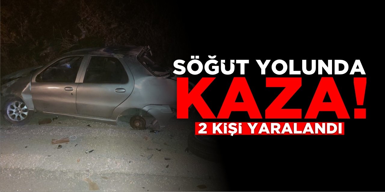 Söğüt Yolunda Kaza: 2 Kişi Yaralandı