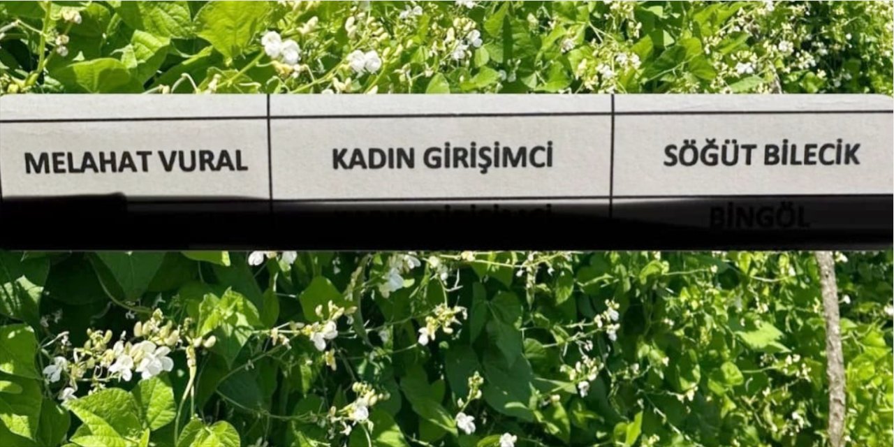 Söğüt'ün kadın girişimcisi, Güvenilir Ürün Zirvesi'nde yer aldı