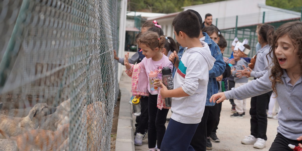 600 öğrenci barınaktaki can dostları ziyaret etti