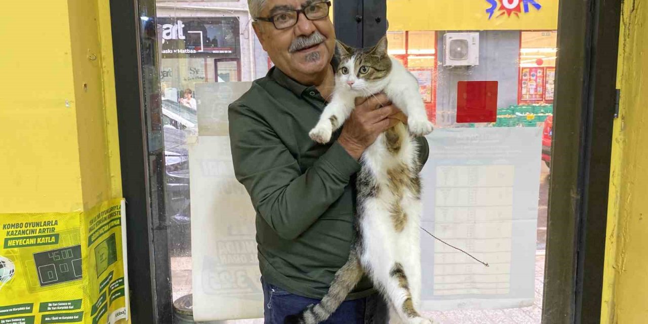 Terk Edilen Kediye İşletmeci Sahip Çıktı