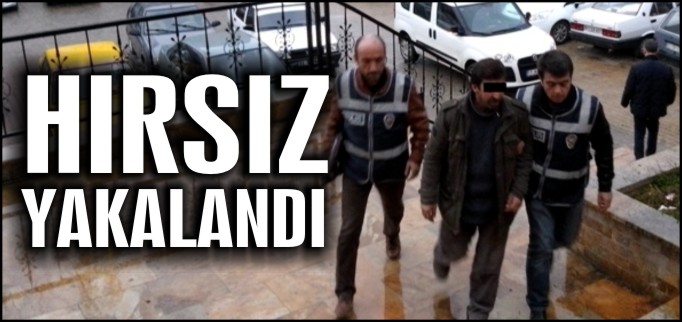 HIRSIZ YAKALANDI