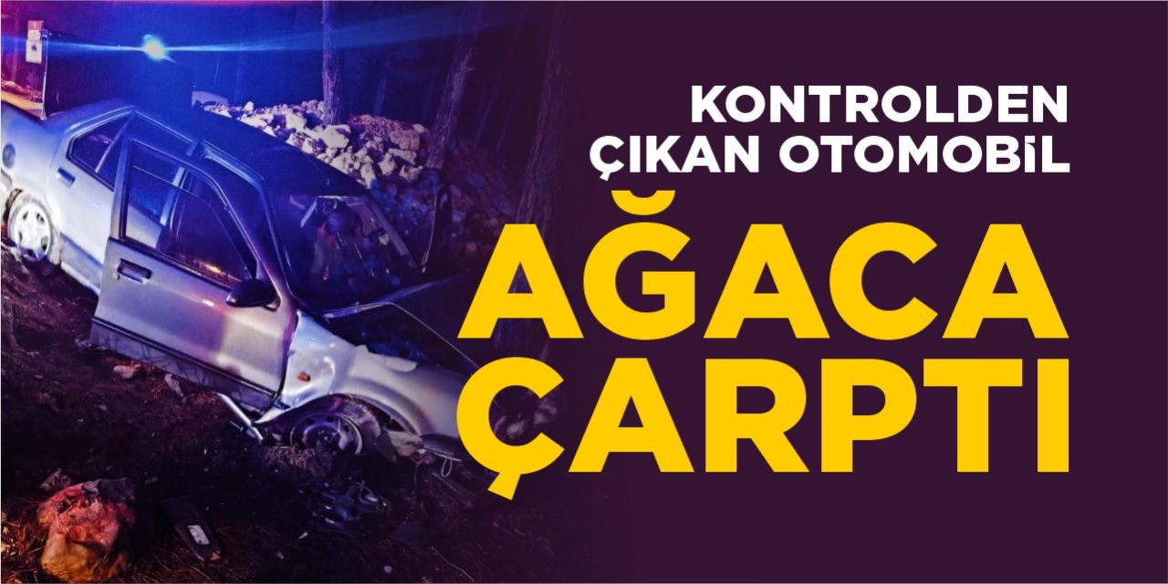 Kontrolden çıkan otomobil ağaca çarptı