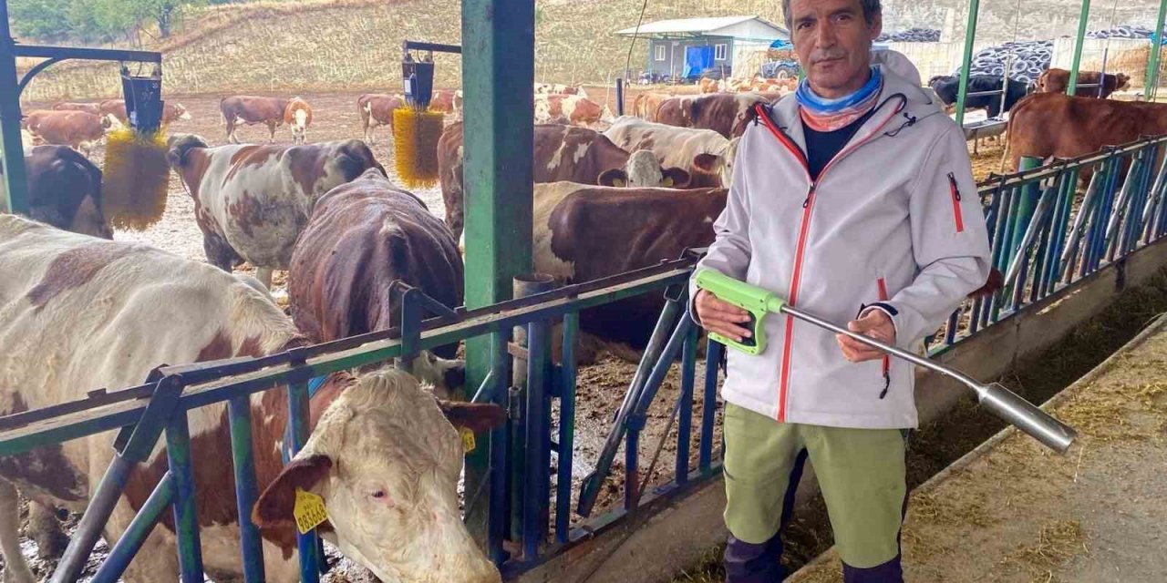 Yapay Zeka Süt Hayvancılığında Çığır Açtı