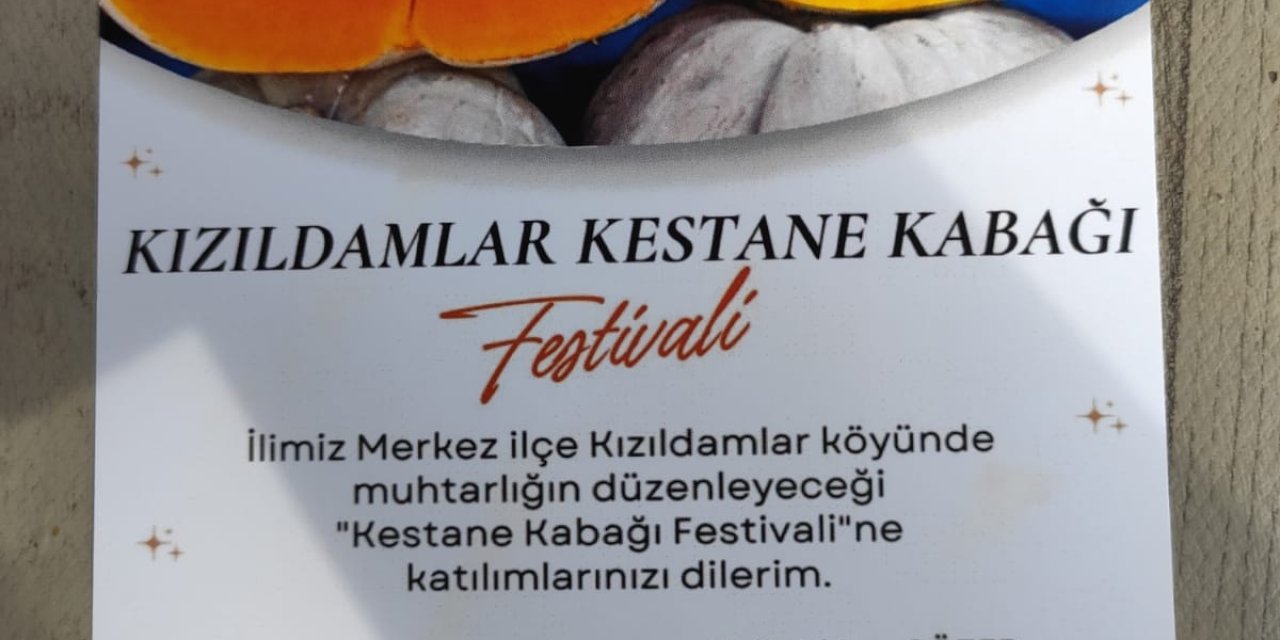 Bilecik'te Kabak Festivali Yapılacak