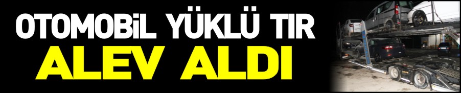 OTOMOBİL YÜKLÜ TIR ALEV YANDI