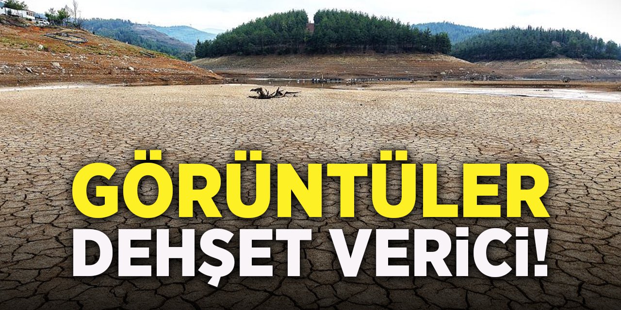 Görüntüler Dehşet Verici!
