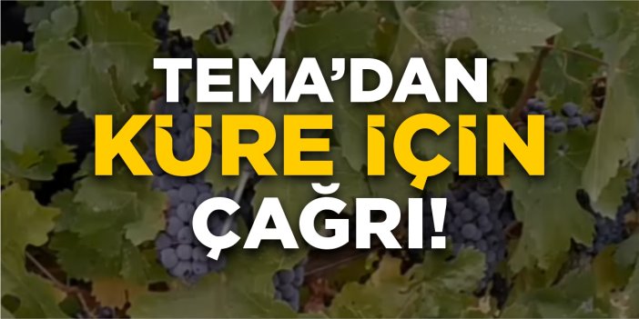 TEMA’dan Küre için çağrı!