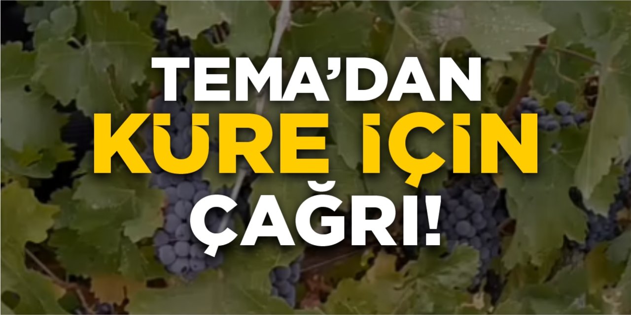 TEMA’dan Küre için çağrı!