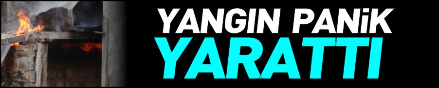 YANGIN PANİĞE NEDEN OLDU