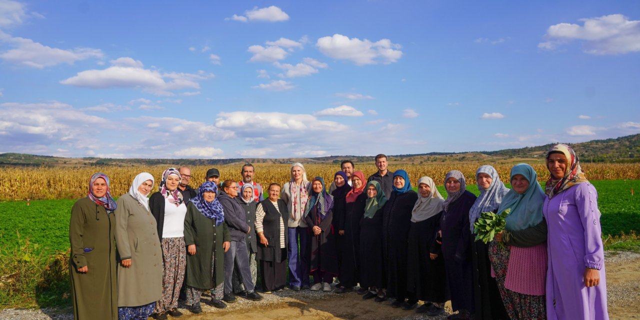 Dağıtılan fidelerin hasadı yapıldı