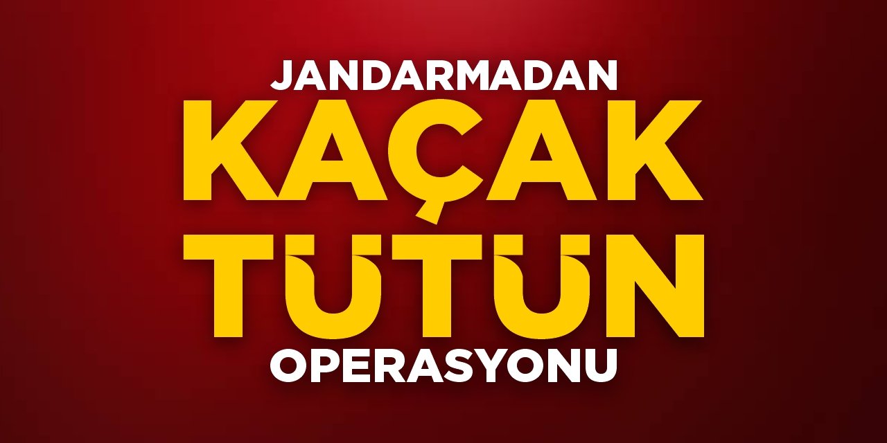 Jandarmadan kaçak tütün operasyonu