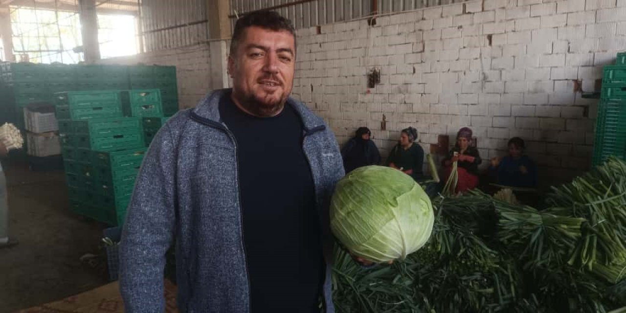 Kışlık Ürünlerde Hasat Başladı