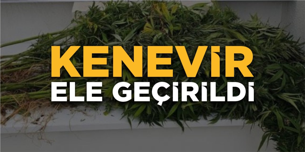 Kenevir ele geçirildi
