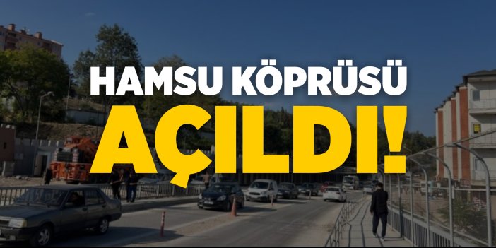 Hamsu Köprüsü trafiğe açıldı