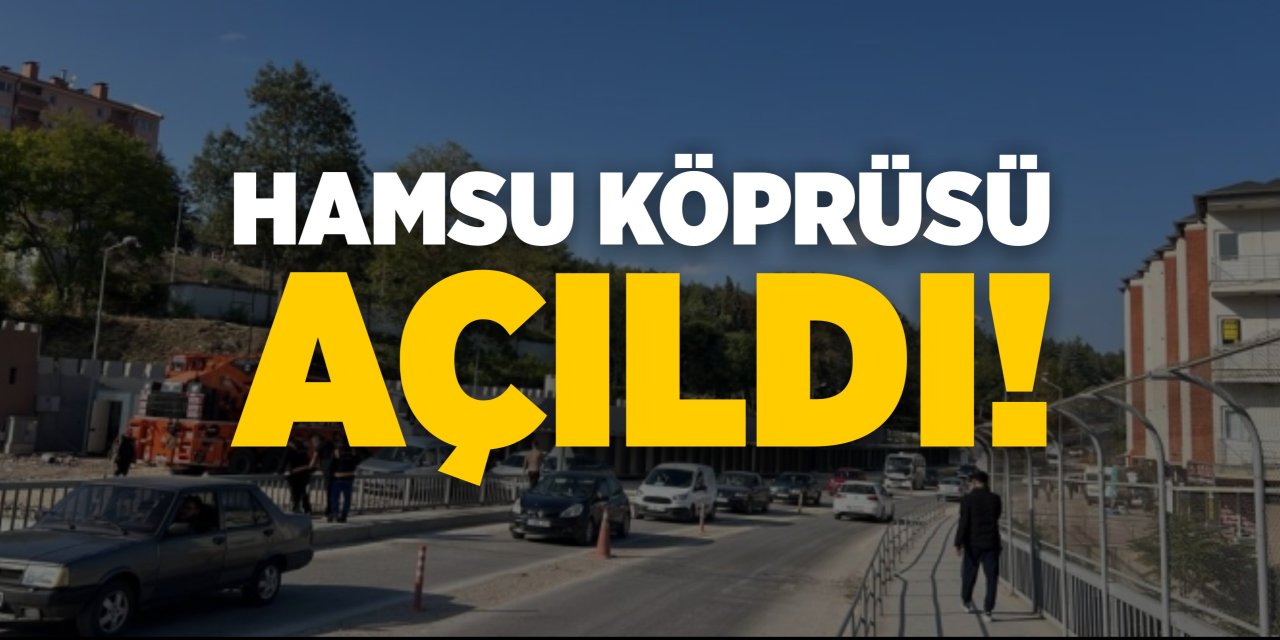 Hamsu Köprüsü trafiğe açıldı