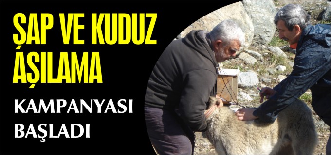 ŞAP VE KUDUZ AŞILAMA KAMPANYASI BAŞLADI