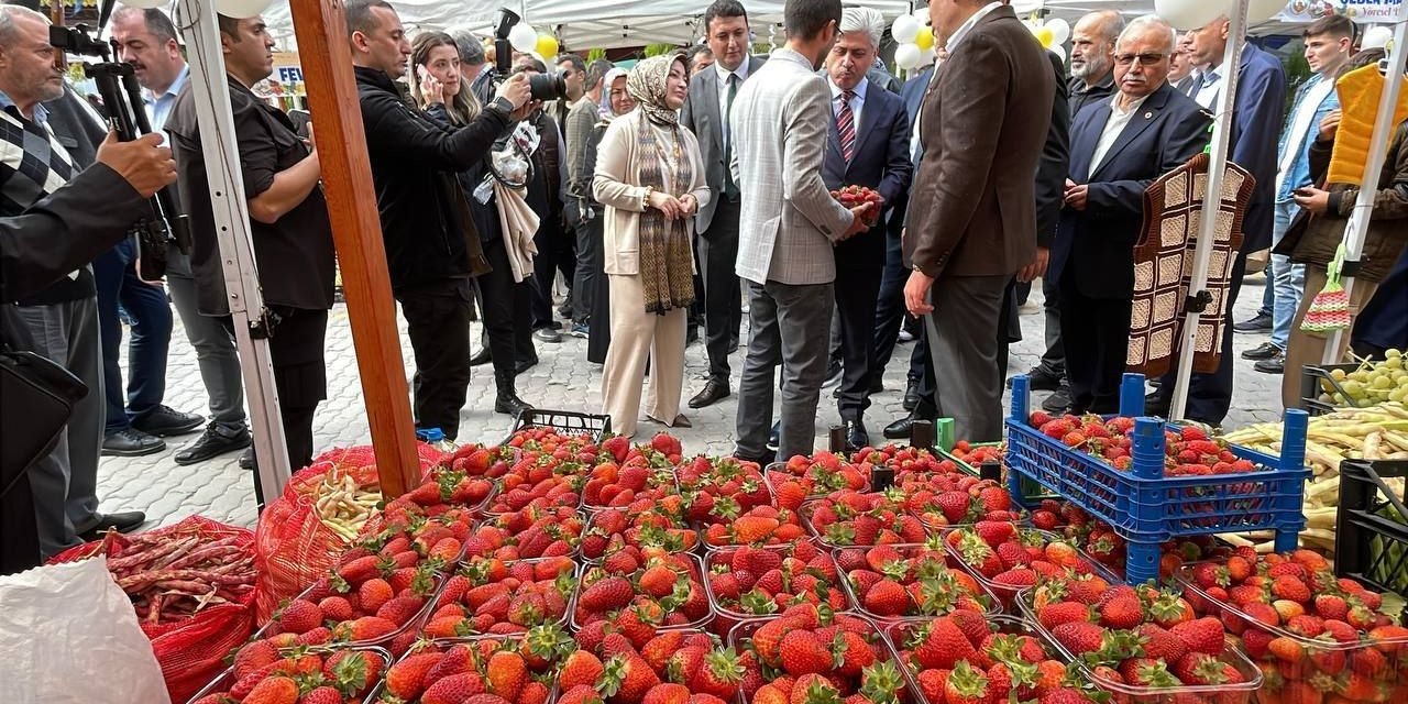 Lezzetin Ve Kültürün Buluşma Noktası  Pamukova İlçesi Oldu