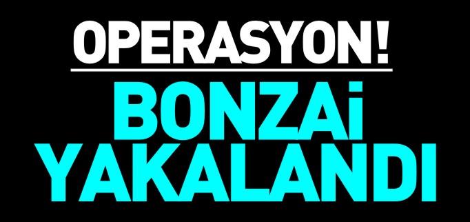 BONZAİ YAKALANDI!