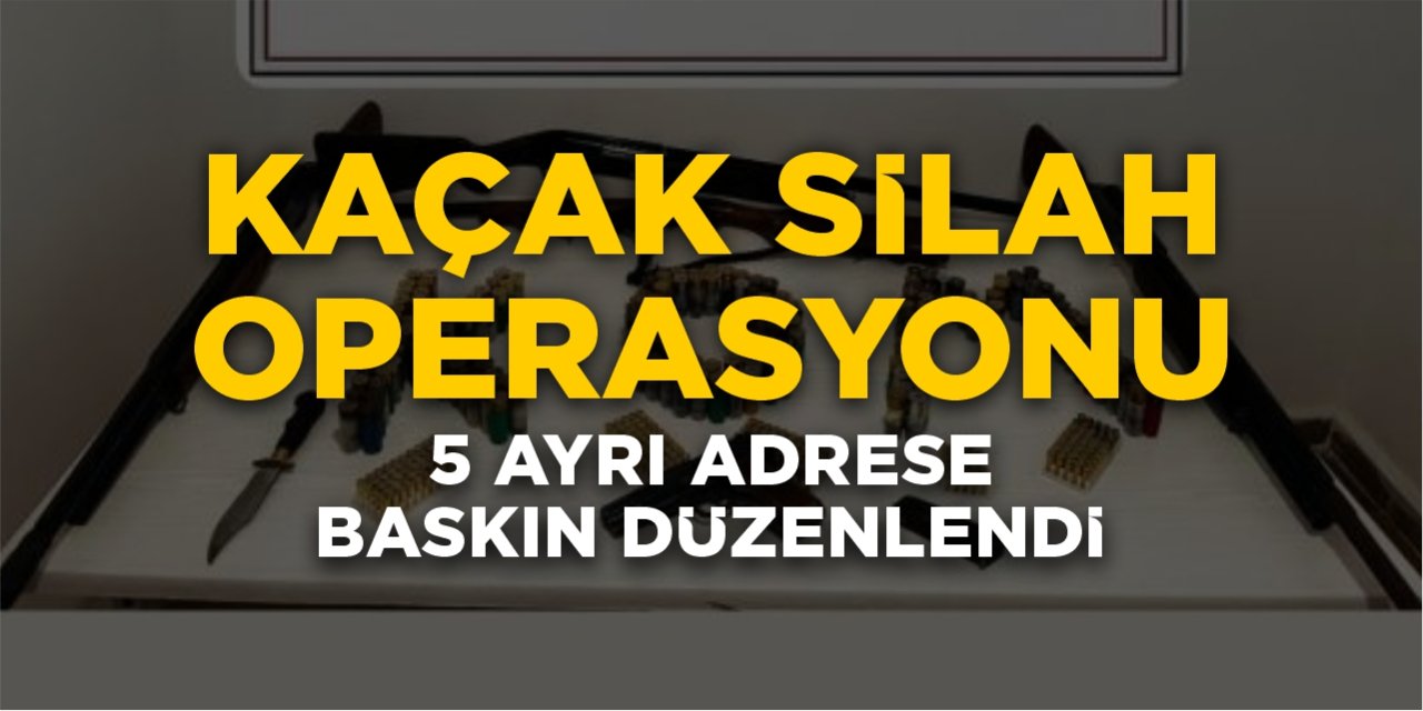 Bilecik'te kaçak silah operasyonu!