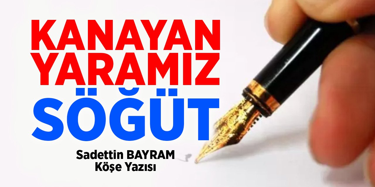 KANAYAN YARAMIZ SÖĞÜT - Sadettin BAYRAM / Köşe Yazısı