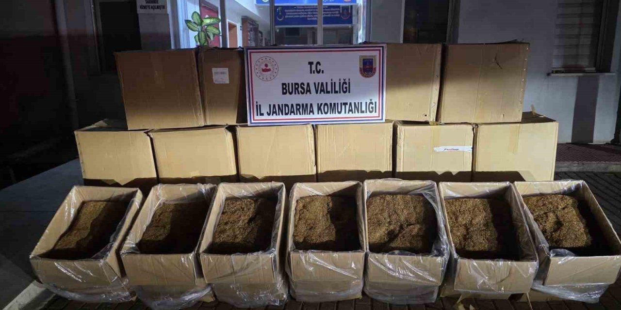750 Kilogram Kaçak Tütün Ele Geçirildi