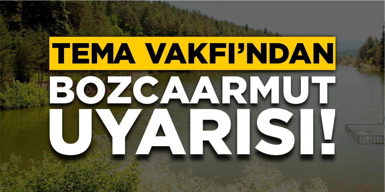 TEMA’dan Bozcaarmut uyarısı!
