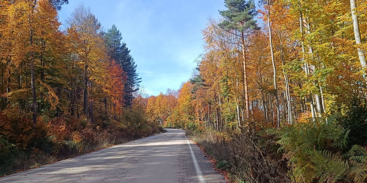 TEMA’dan Bozcaarmut’a destek