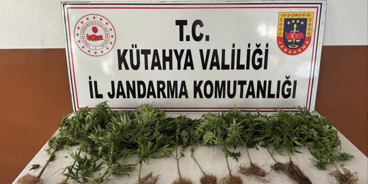 Jandarmadan Uyuşturucu Operasyonu: 2 Şüpheli Tutuklandı