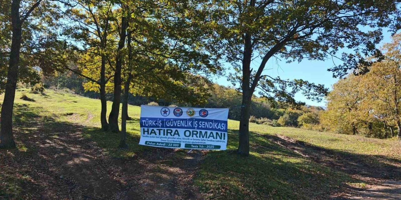 22 Bin Fidan Toprakla Buluştu