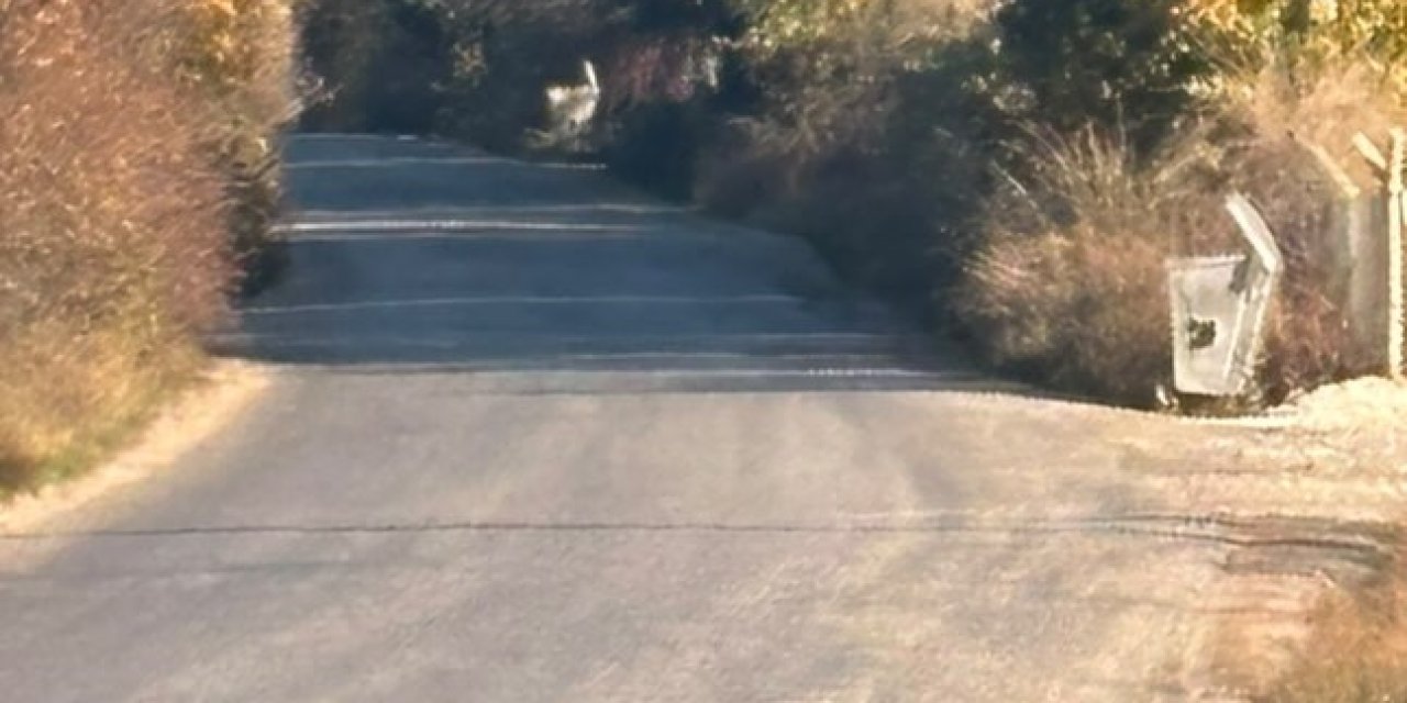 Uzayan Ağaç Dalları Sürücülere Zorluk Yaşatıyor