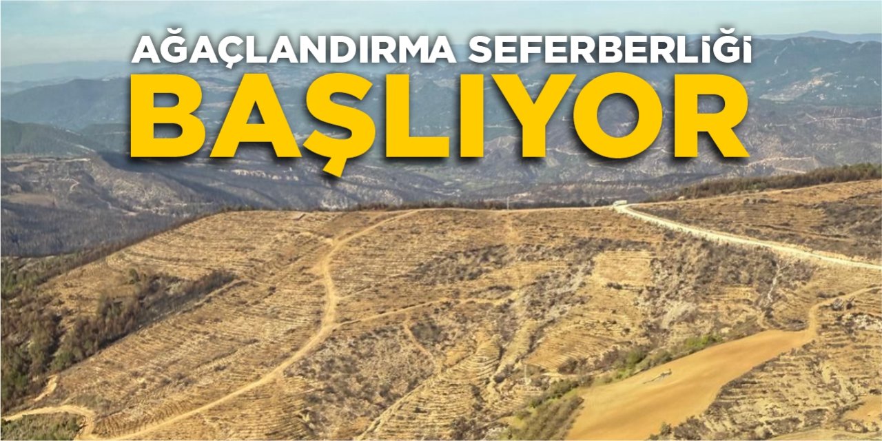 Ağaçlandırma seferberliği başlıyor