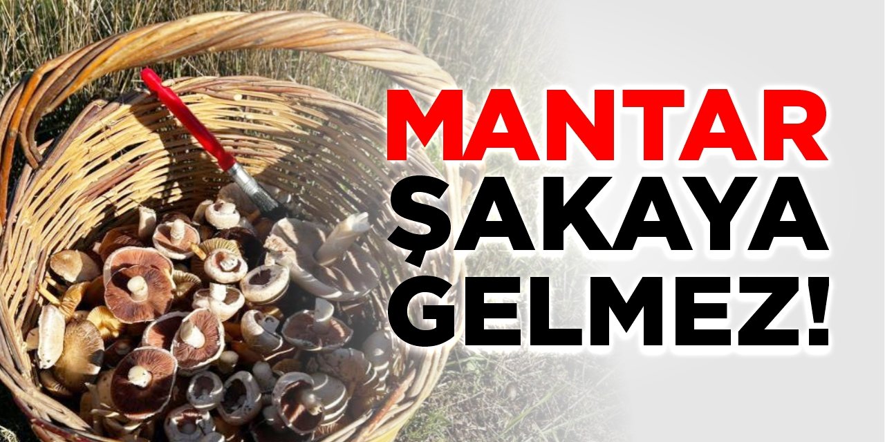 Mantar şakaya gelmez!