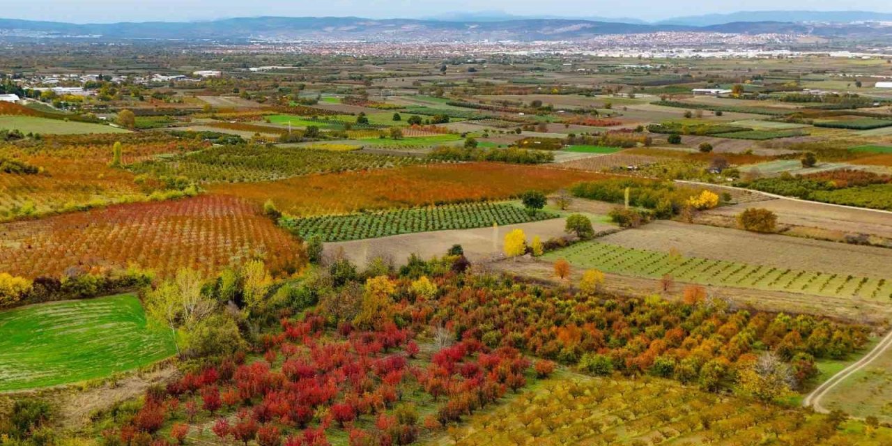 Sonbaharın Renk Cümbüşü Uludağ'da