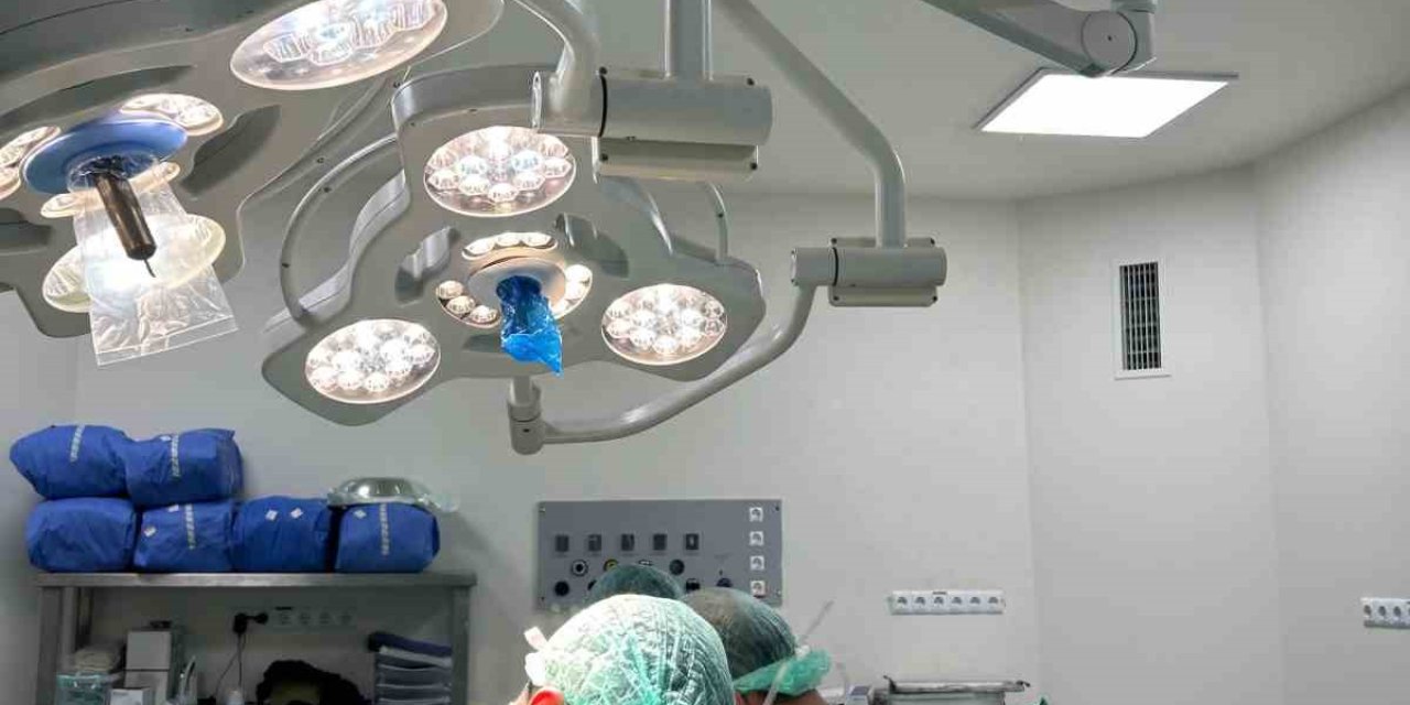 Bursa Organ Bağışında Zirvede