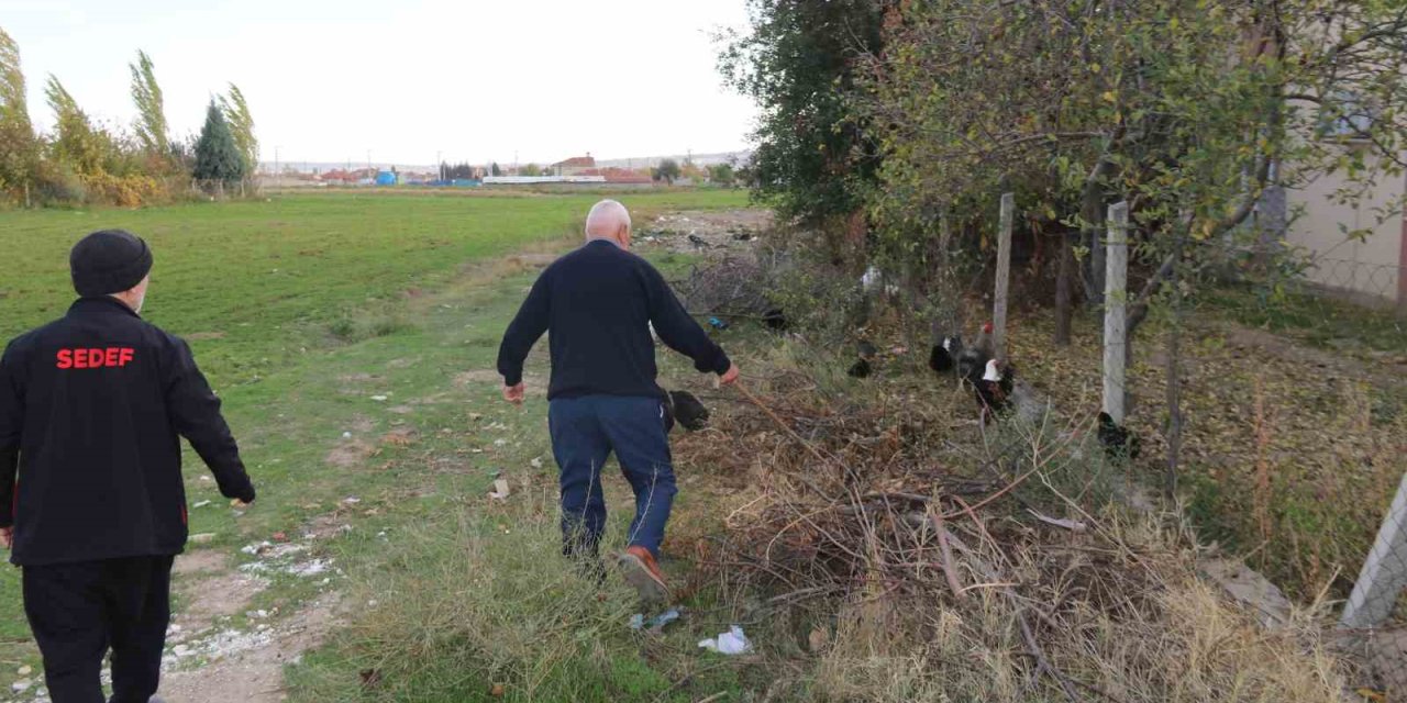 11 Tavuğu Köpeklerce Telef Edilen Mahalleli Hayvanlarını Korumak İçin Çobanlık Yapıyor