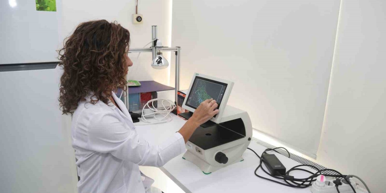 Btü’den Aftlara Hızlı Ve Doğal Çözüm