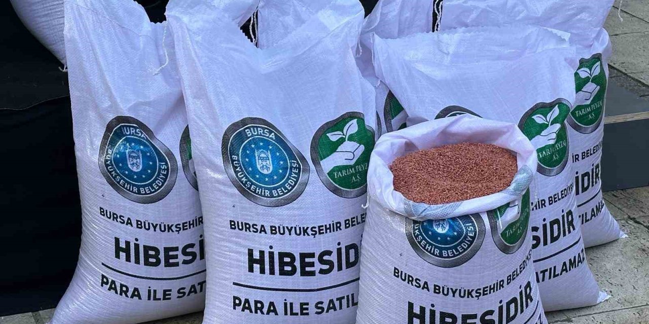 Çiftçilere 47 Ton Buğday Tohumu Desteği
