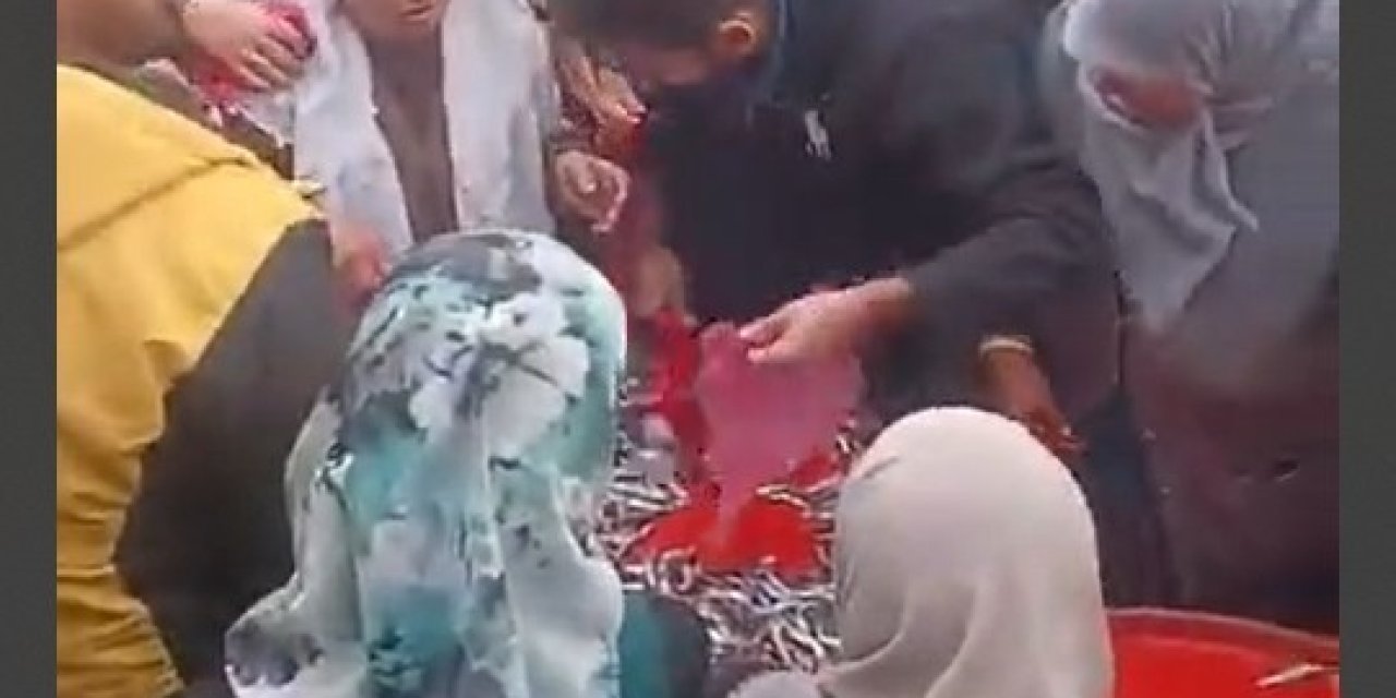 Ücretsiz Hamsi Dağıtımı Yoğun İlgi Gördü