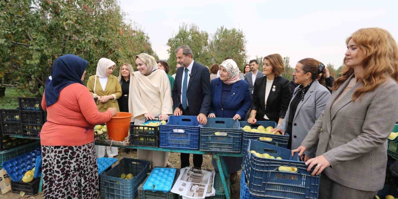 Topuklu İş Kadınları İle Şalvarlı Köylü Kadınları Aynı Tarlada